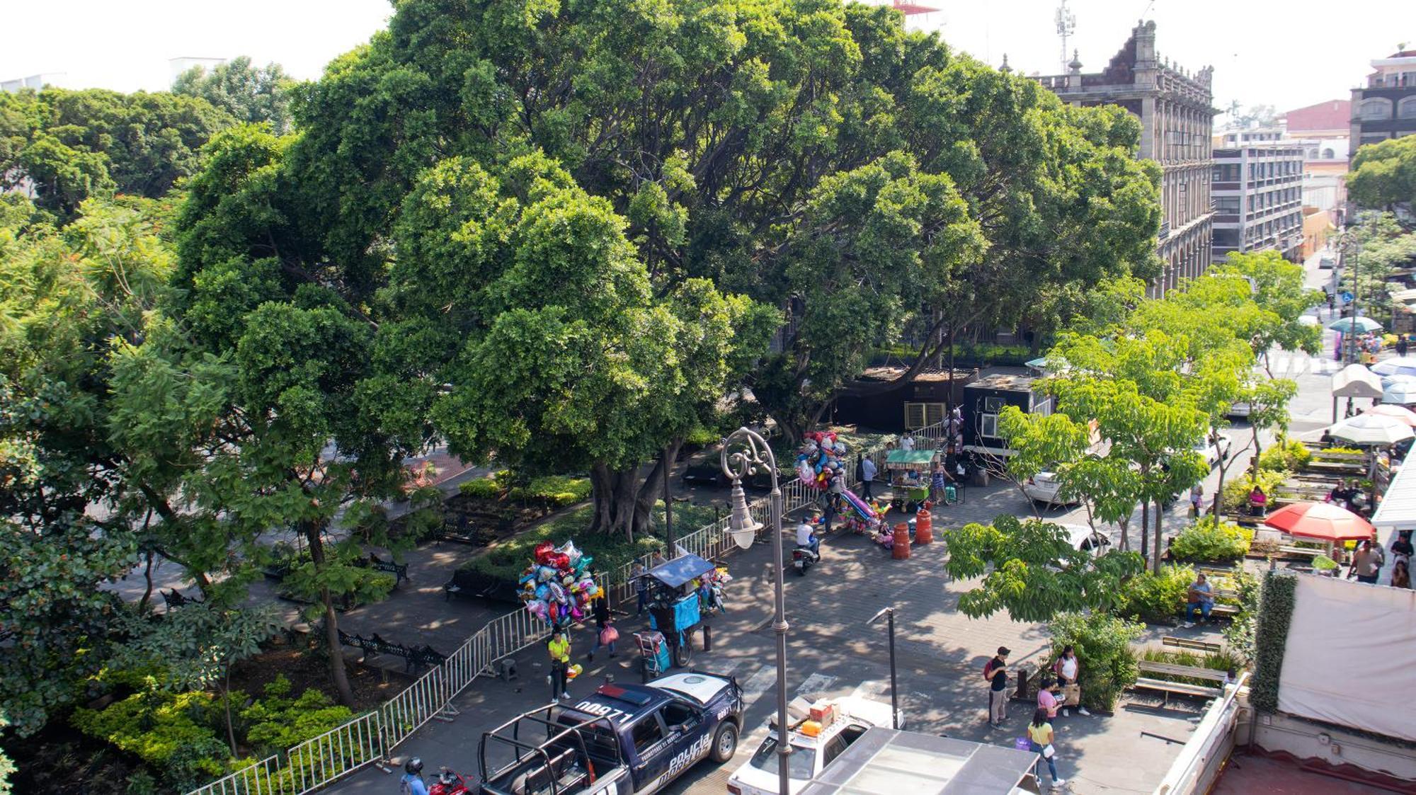 Suites Las Plazas Cuernavaca Exterior foto